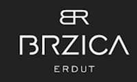 Brzica logo